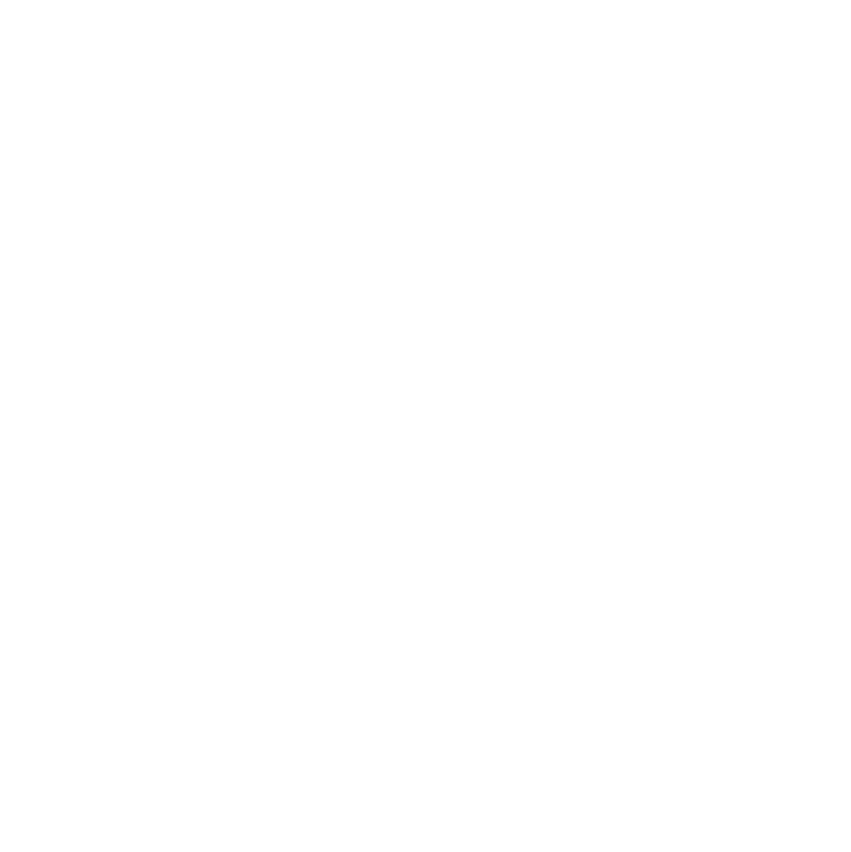 Spotify Podcasts icon